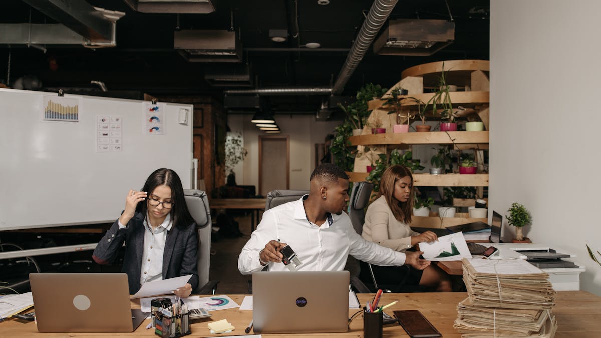 Local Seo Agency — οδηγός seo agency